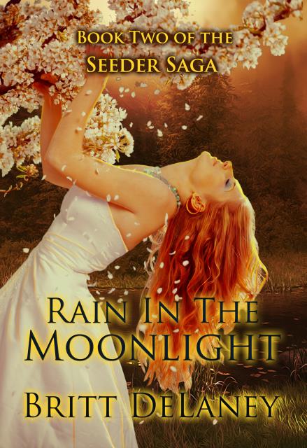 Rain In The Moonlight Cover Art
