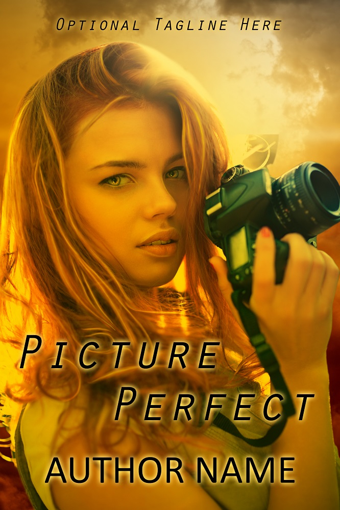 Picture Perfect Premade Cover
